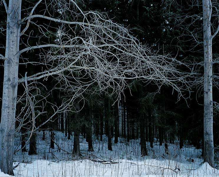 FINLAND fotografie