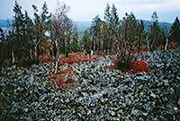 FINLAND fotografie