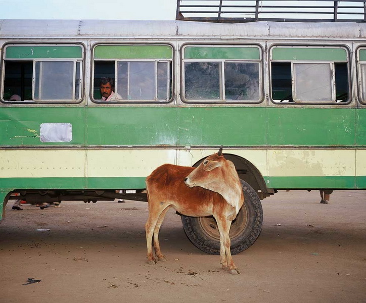 INDIA fotografie