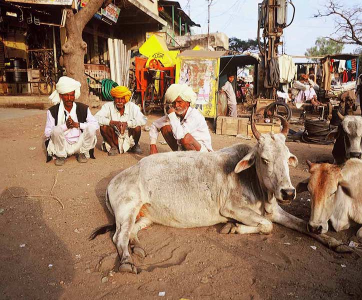 INDIA fotografie