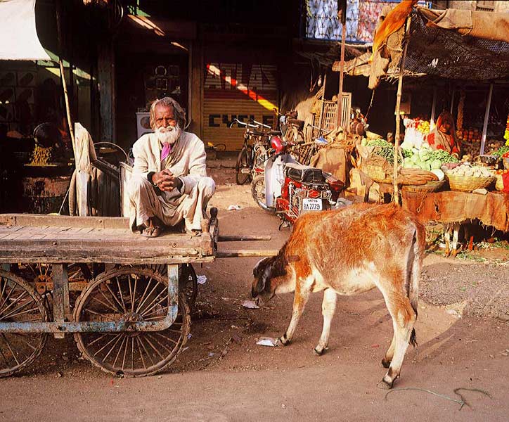 INDIA fotografie