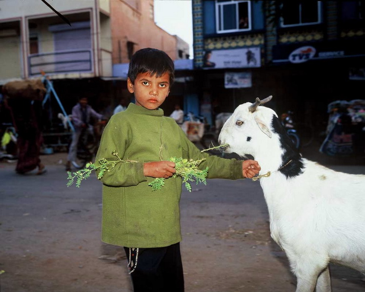 INDIA fotografie