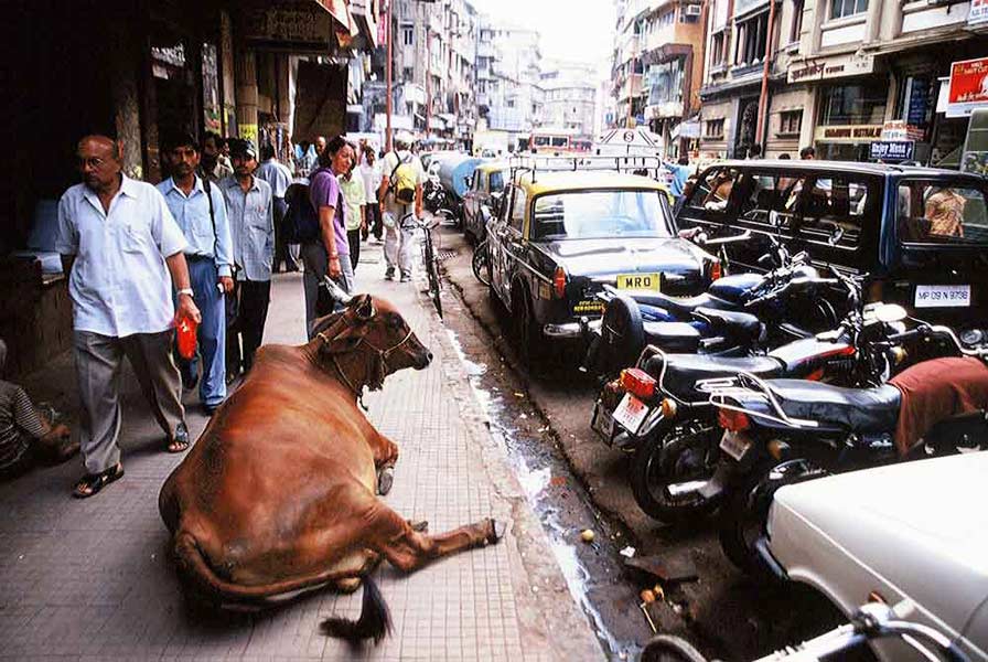 INDIA fotografie