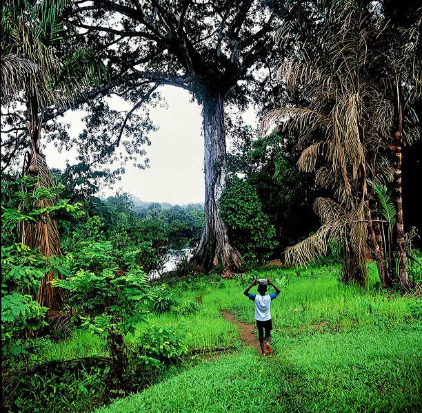 SURINAME fotografie
