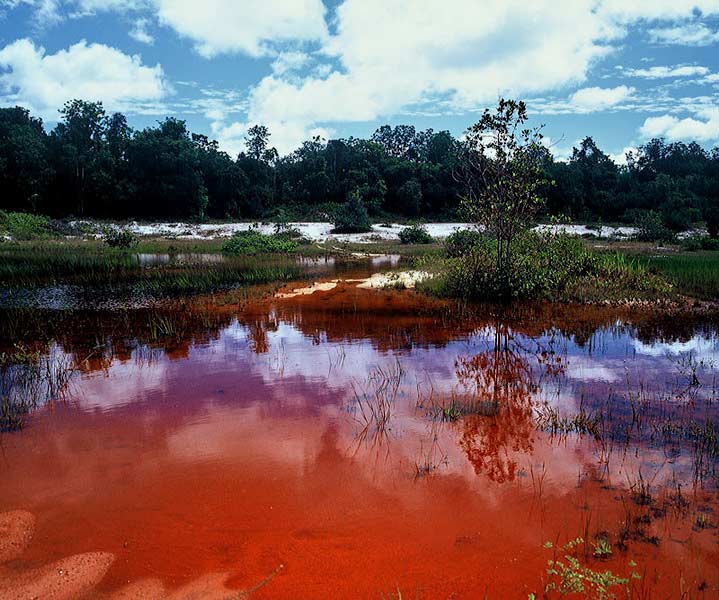 SURINAME fotografie