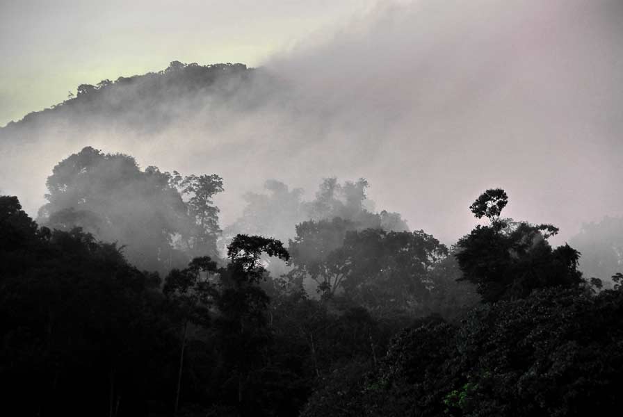 SURINAME fotografie